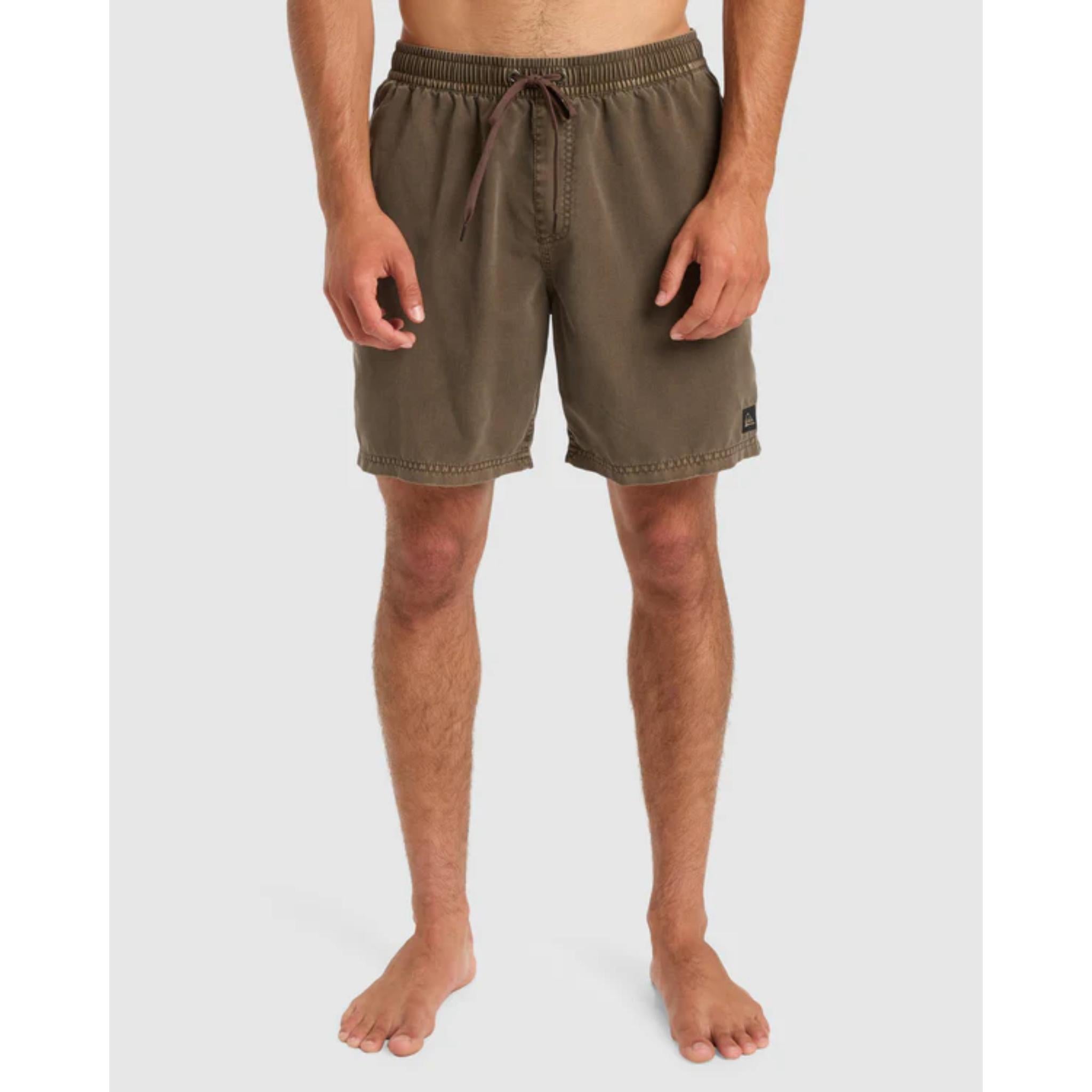 Quiksilver Everyday Surfwash Volley 17 Boardshorts