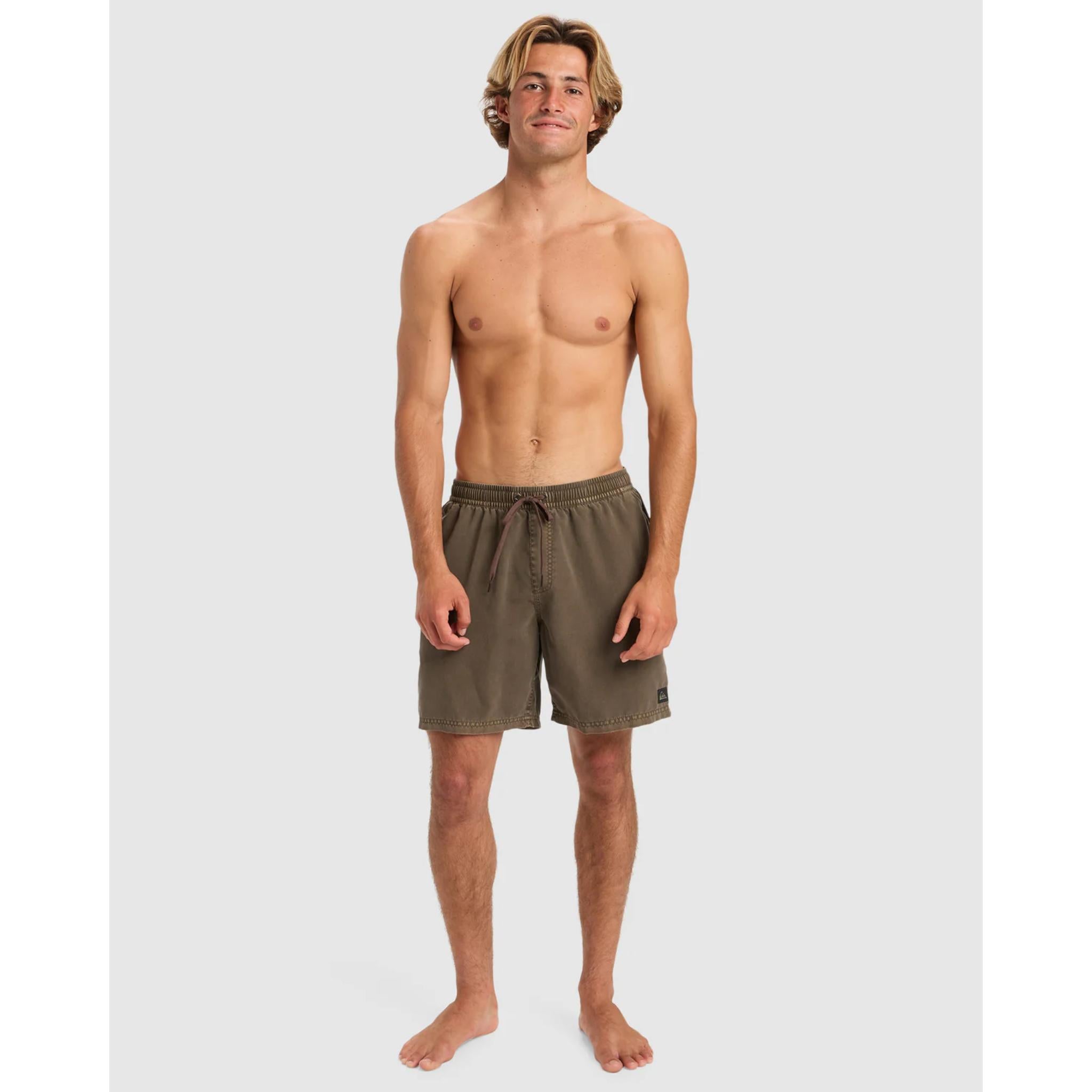 Quiksilver Everyday Surfwash Volley 17 Boardshorts