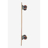 Globe Arcadia Skateboard