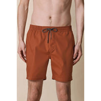 Globe Mens Clean Swell Poolshort