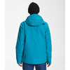 The North Face Mens Descendit Jacket