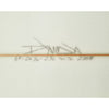 Panda Shiitake Surfboard 6-8