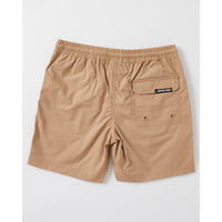 Santa Cruz Boys Mfg Cruzier Solid Beach Short