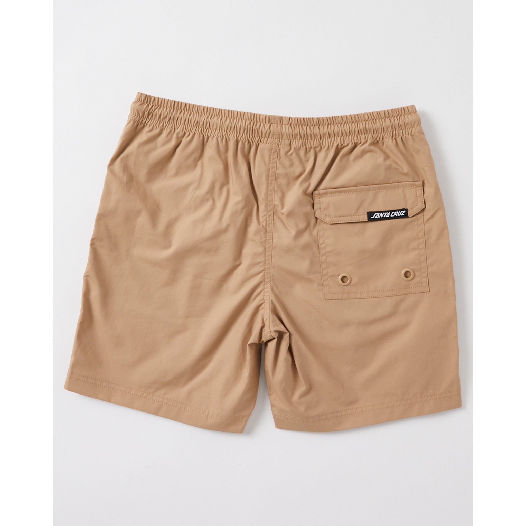 Santa Cruz Boys Mfg Cruzier Solid Beach Short