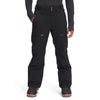 The North Face Chakal Pant - Mens