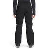 The North Face Chakal Pant - Mens
